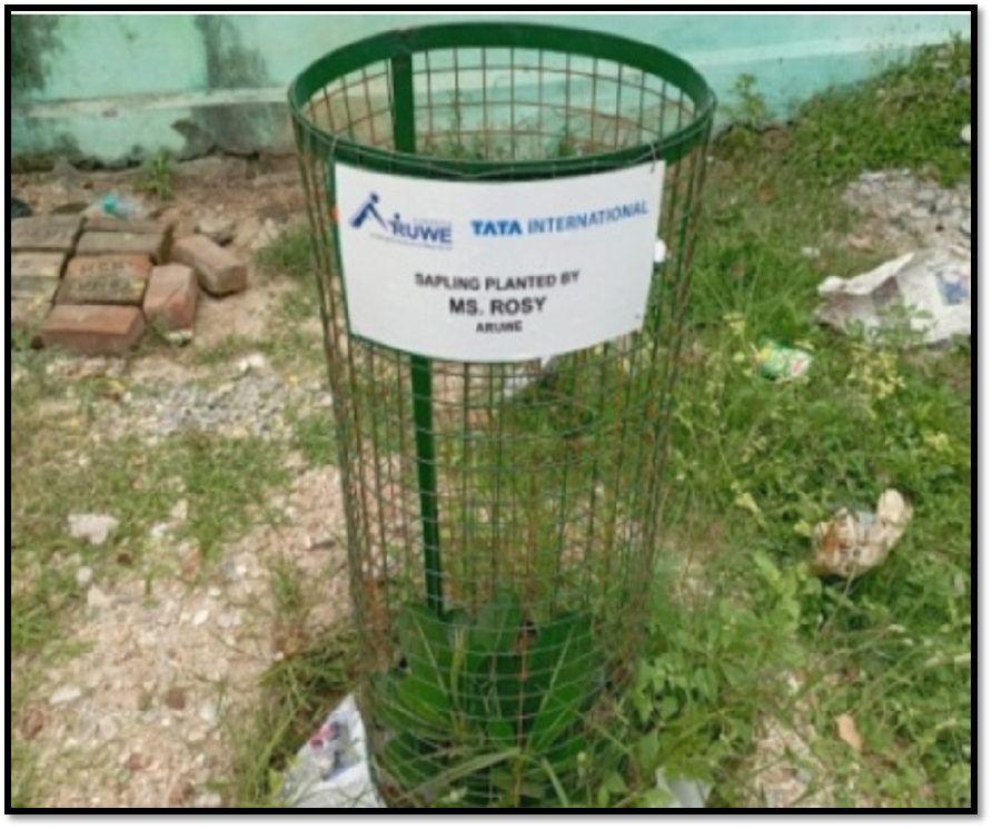 100 Tree Planting Drive